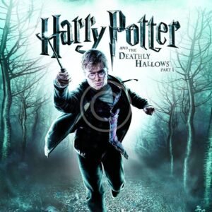 Harry Potter Video Game